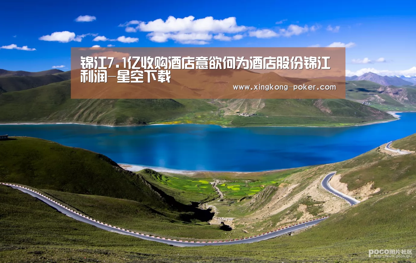 锦江7.1亿收购酒店意欲何为酒店股份锦江利润-星空下载(图2) 星空下载