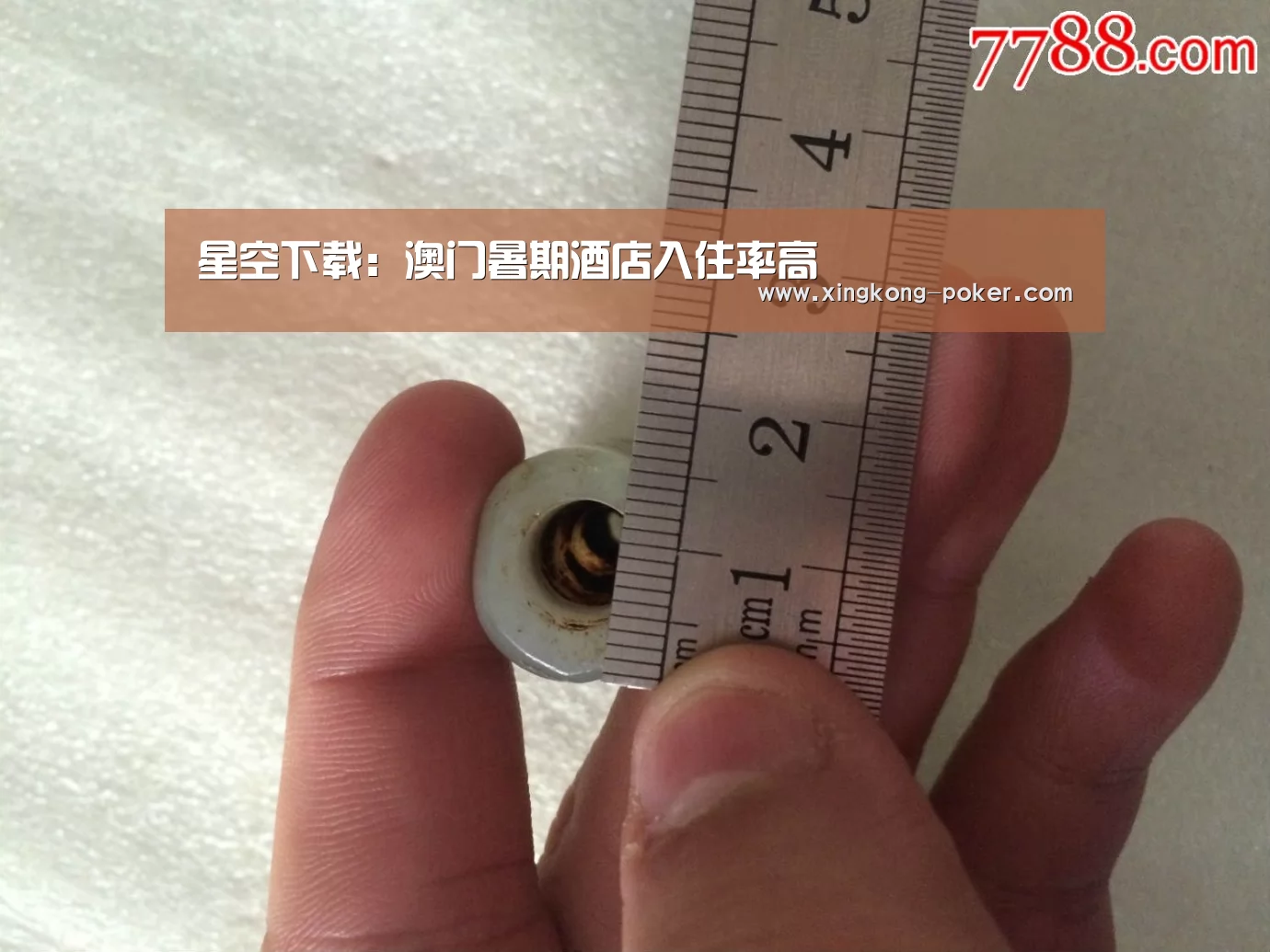 星空下载:澳门暑期酒店入住率高(图2) 星空官网