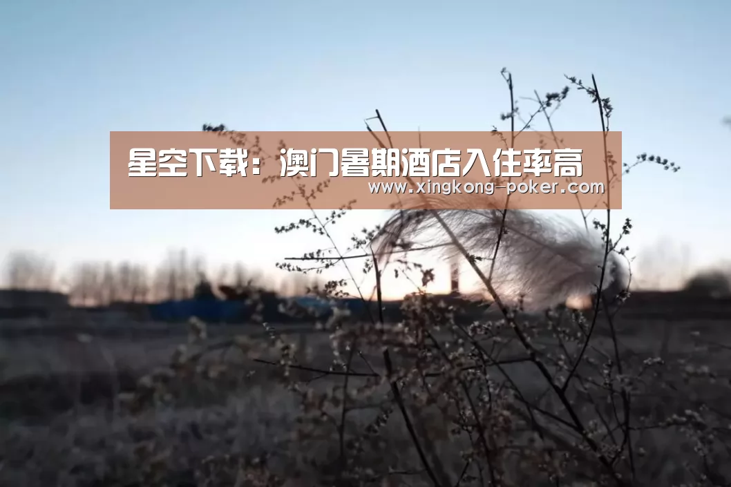 星空下载:澳门暑期酒店入住率高(图4) 星空官网