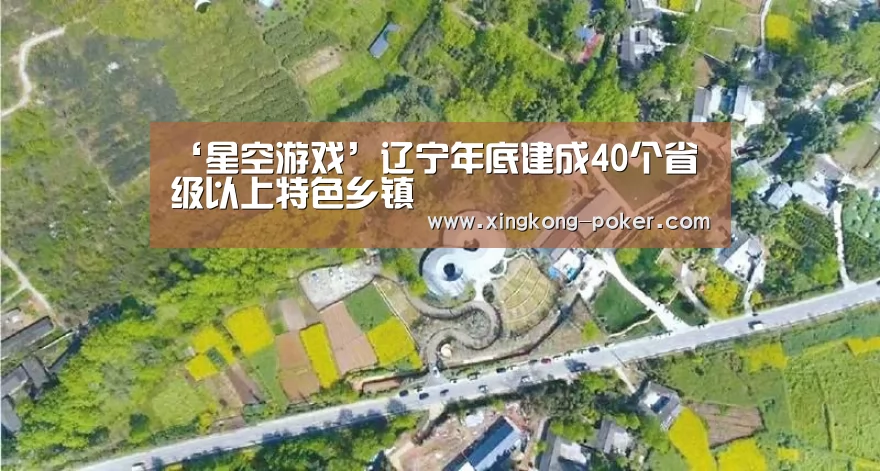 ‘星空游戏’辽宁年底建成40个省级以上特色乡镇(图2) 星空下载