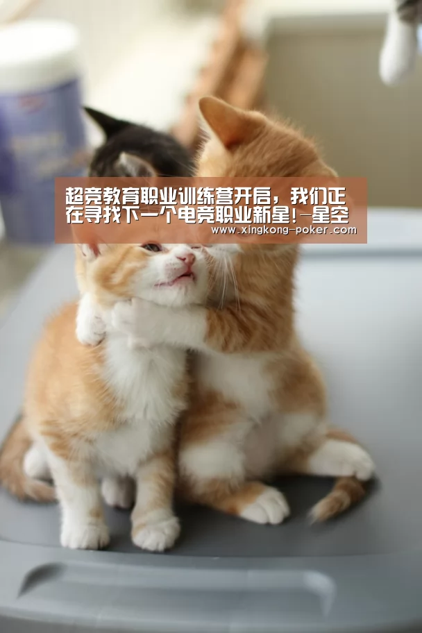 星空下载