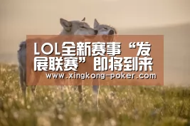 LOL全新赛事“发展联赛”即将到来 将取代LSPL_星空官网(图1) 星空热点