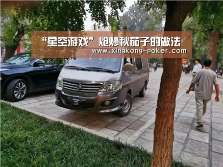 “星空游戏”炝炒秋茄子的做法(图1) 星空下载