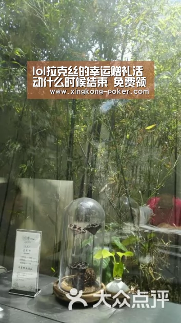 lol拉克丝的幸运赠礼活动什么时候结束 免费领取永久皮肤:星空官网(图2) 星空游戏