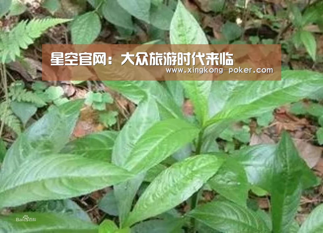 星空官网:大众旅游时代来临(图4) 星空游戏