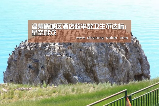 温州鹿城区酒店超半数卫生不达标:星空游戏(图3) 星空游戏