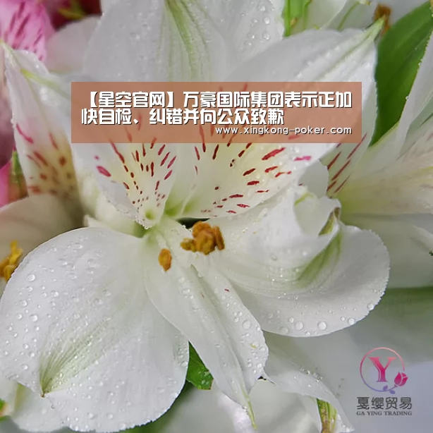 【星空官网】万豪国际集团表示正加快自检、纠错并向公众致歉(图1) 星空下载