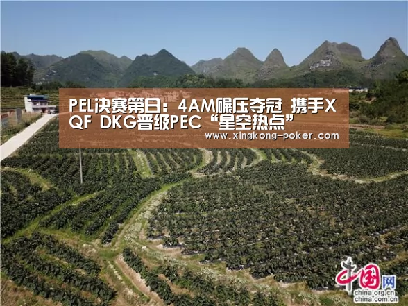 PEL决赛第日:4AM碾压夺冠 携手XQF DKG晋级PEC“星空热点”(图1) 星空官网