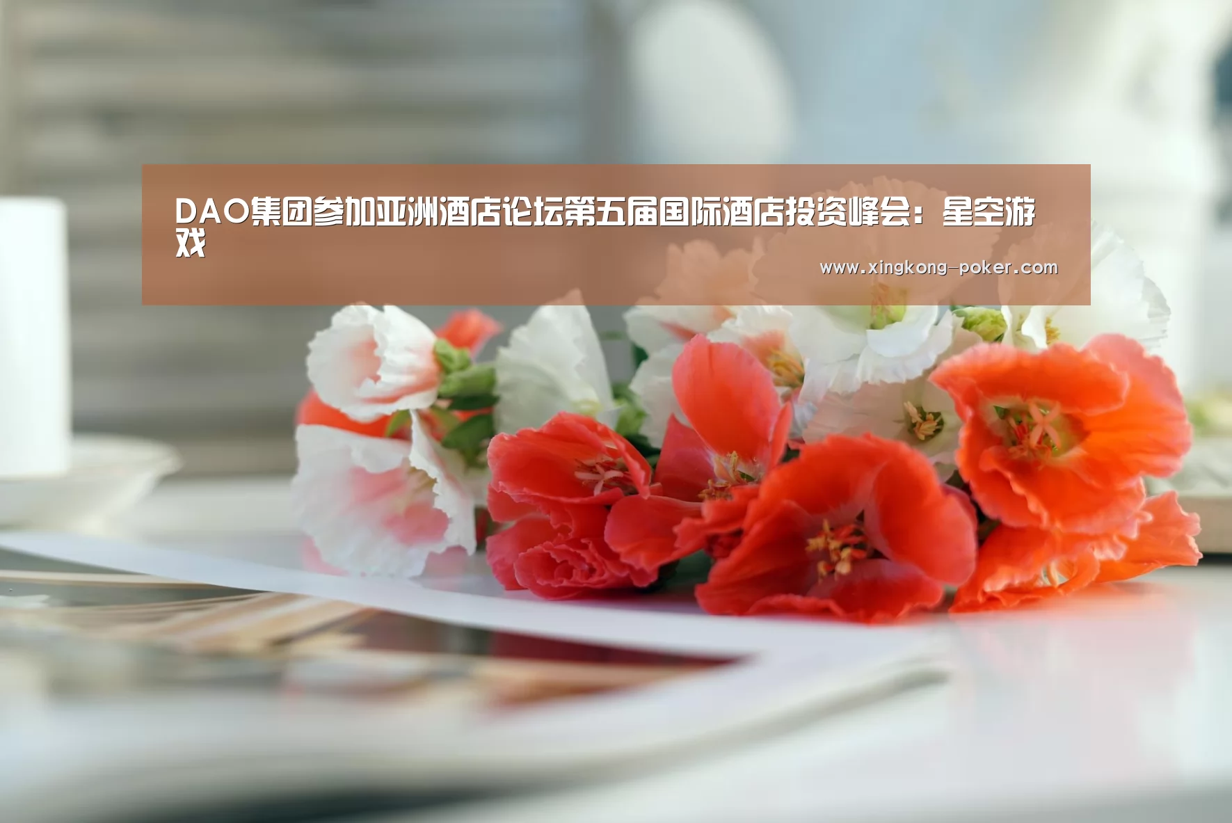 DAO集团参加亚洲酒店论坛第五届国际酒店投资峰会:星空游戏(图4) 星空官网