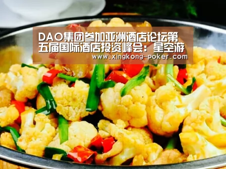 DAO集团参加亚洲酒店论坛第五届国际酒店投资峰会:星空游戏(图3) 星空下载